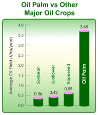 Chart: Oil palm vs other major oil crops.
