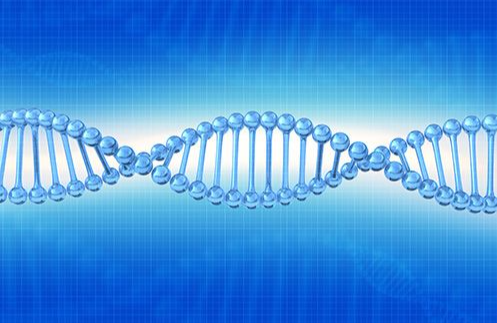 DNA