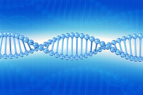 DNA