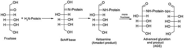 Figure 4 Advanced glycation