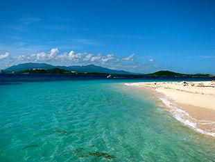 Island of Icacos