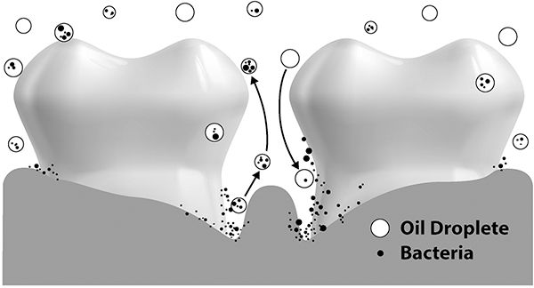 Oil pulling removing bacteria.