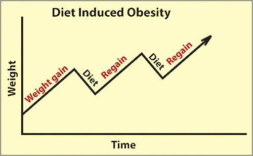 Diet Induced Obesity