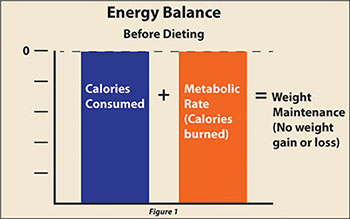 Calories consumed equals calories burned