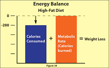 Reduced calories equals weight loss
