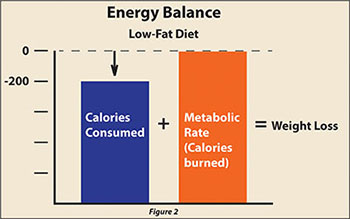 Reducing calorie intake