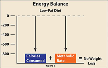 Calories are reduced to starvation levels