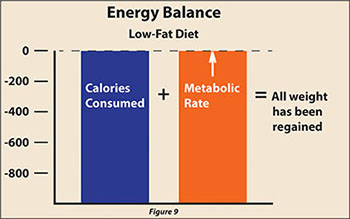 Calories and metabolism even out