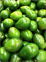 Avacados