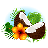 coconut halves