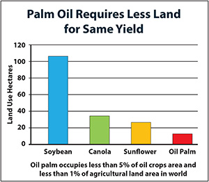 Palm Oil Requires Less Land for the Same Yeild.