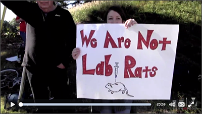 The Truth Behind the CDC, Vaccines and Autism