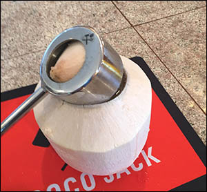 Coco Jack tool opening young coconut.