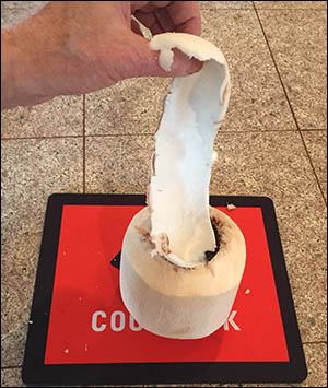 Pulling the meat from a young coconut with Coco Jack scoop tool.
