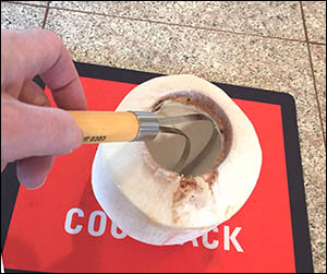 Extracting coconut meat with the Coco Jack scoop tool.