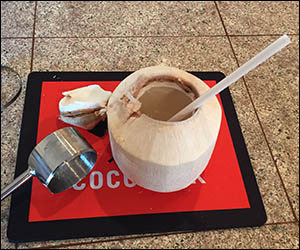 Coconut opened by Coco Jack tool.