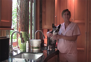 Dr. Karen Becker and her dog Rosco