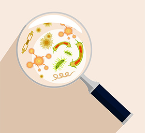 intestinal microbes under looking glass