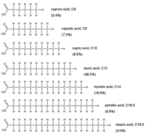 Chemical structure of saturated fatty acids.