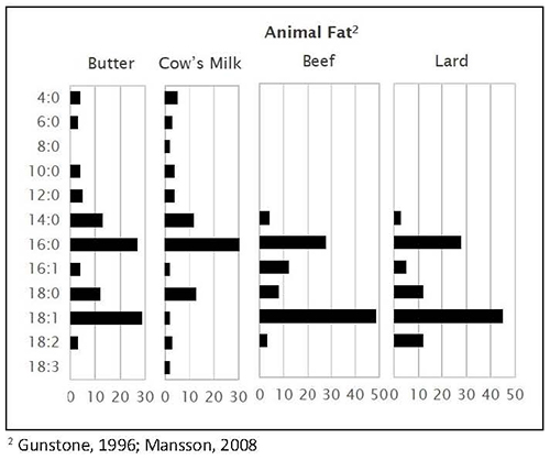 Animal Fat