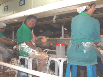 Coconut workers in the Philippines.
