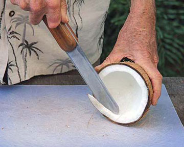 Cutting coconut strips with coconut slicing knife.