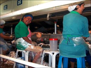 Workers in a coconut processing facility.